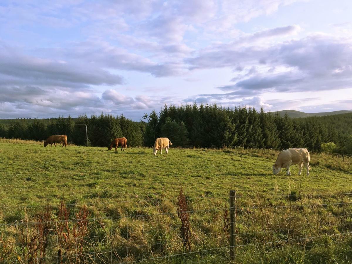 Jasmine Lodge Ballindalloch Екстер'єр фото